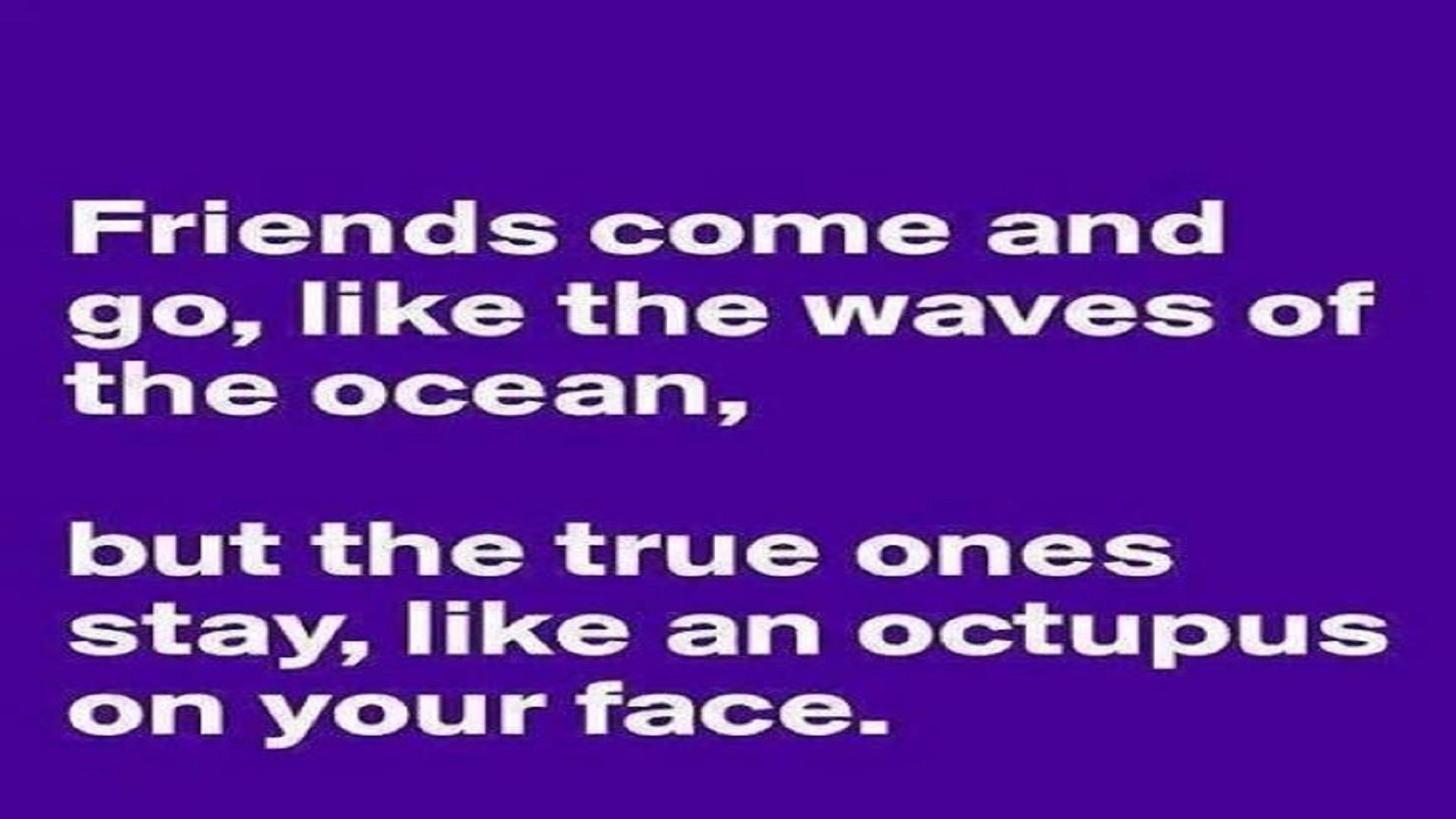1920x1080 Best Friendship Quotes Free Hd Wallpaper Funniest Quotations