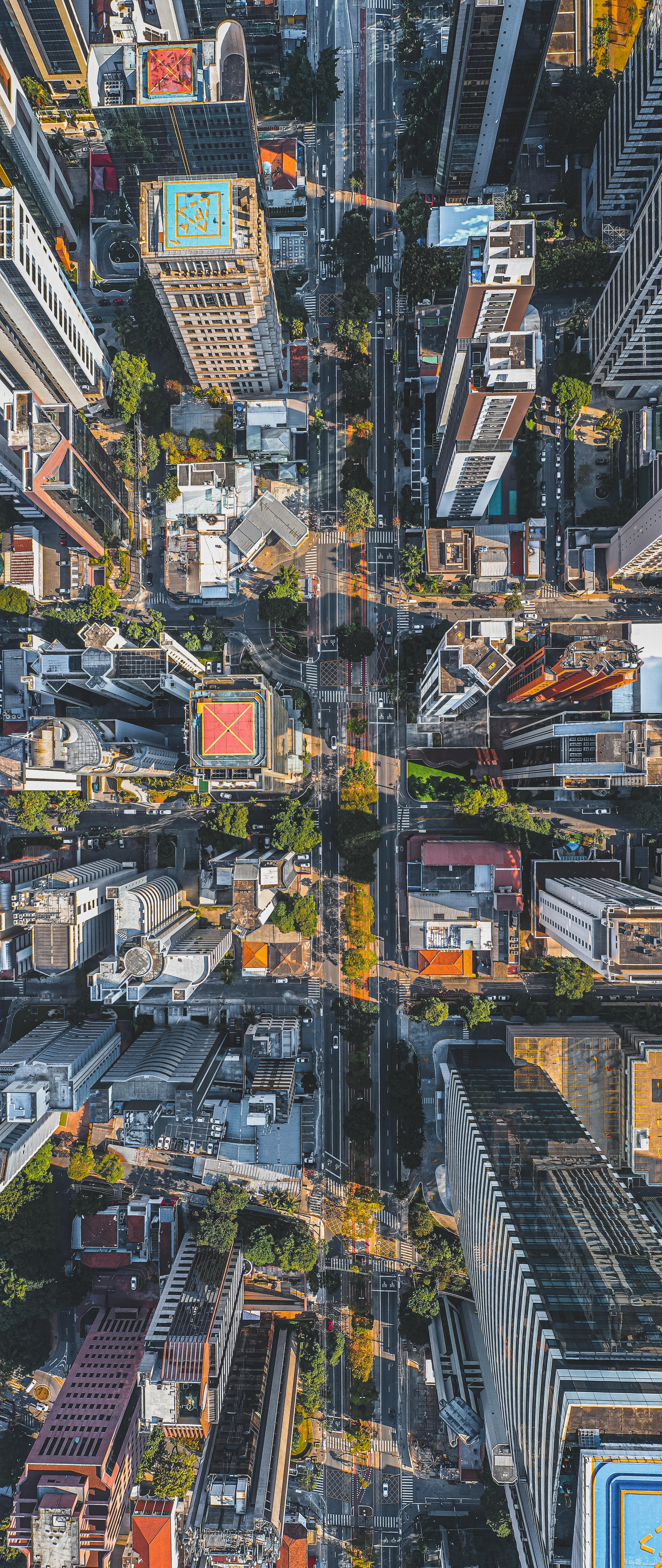 3328x7882 Urban Jungle Photo, Download The BEST Free Urban Jungle & HD Image