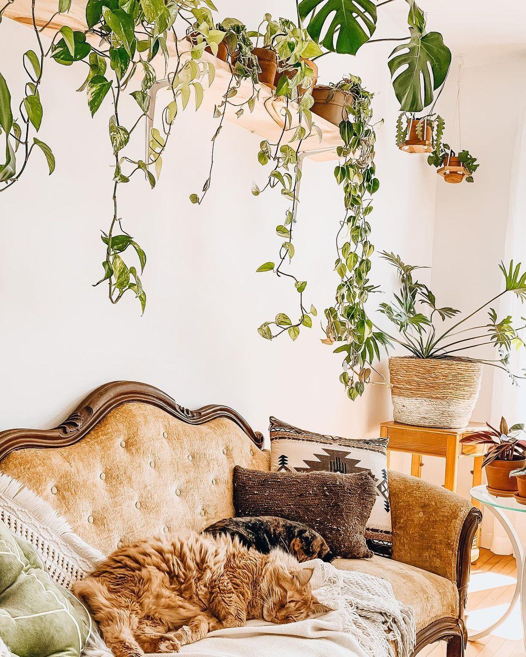 1080x1350 Urban Jungle Interior for Your Home. Extra Space Storage