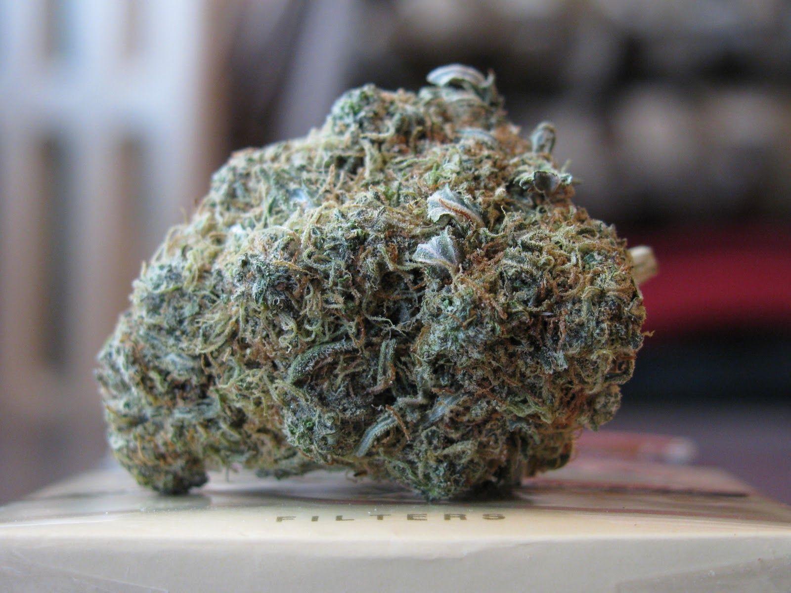 1600x1200 Smoking Weed HD Wallpaper Download The Galleries of HD Wallpaper