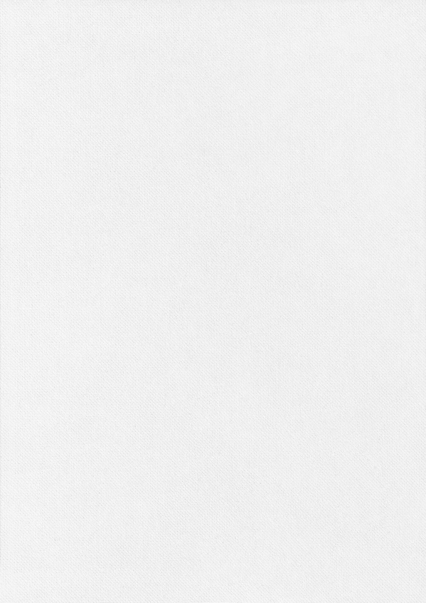 1400x1980 26 White Paper Background Textures