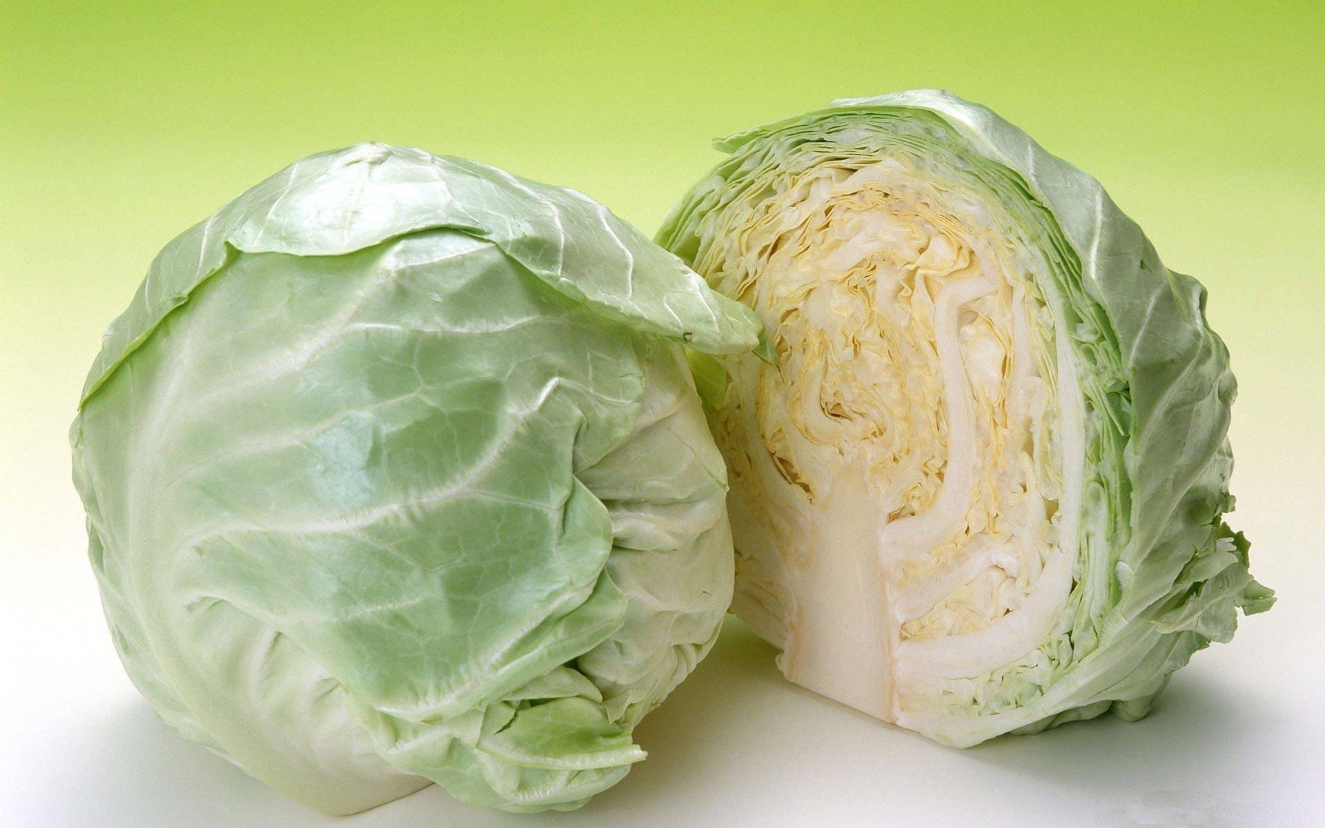 1920x1200 Cabbage HD Wallpaper and Background