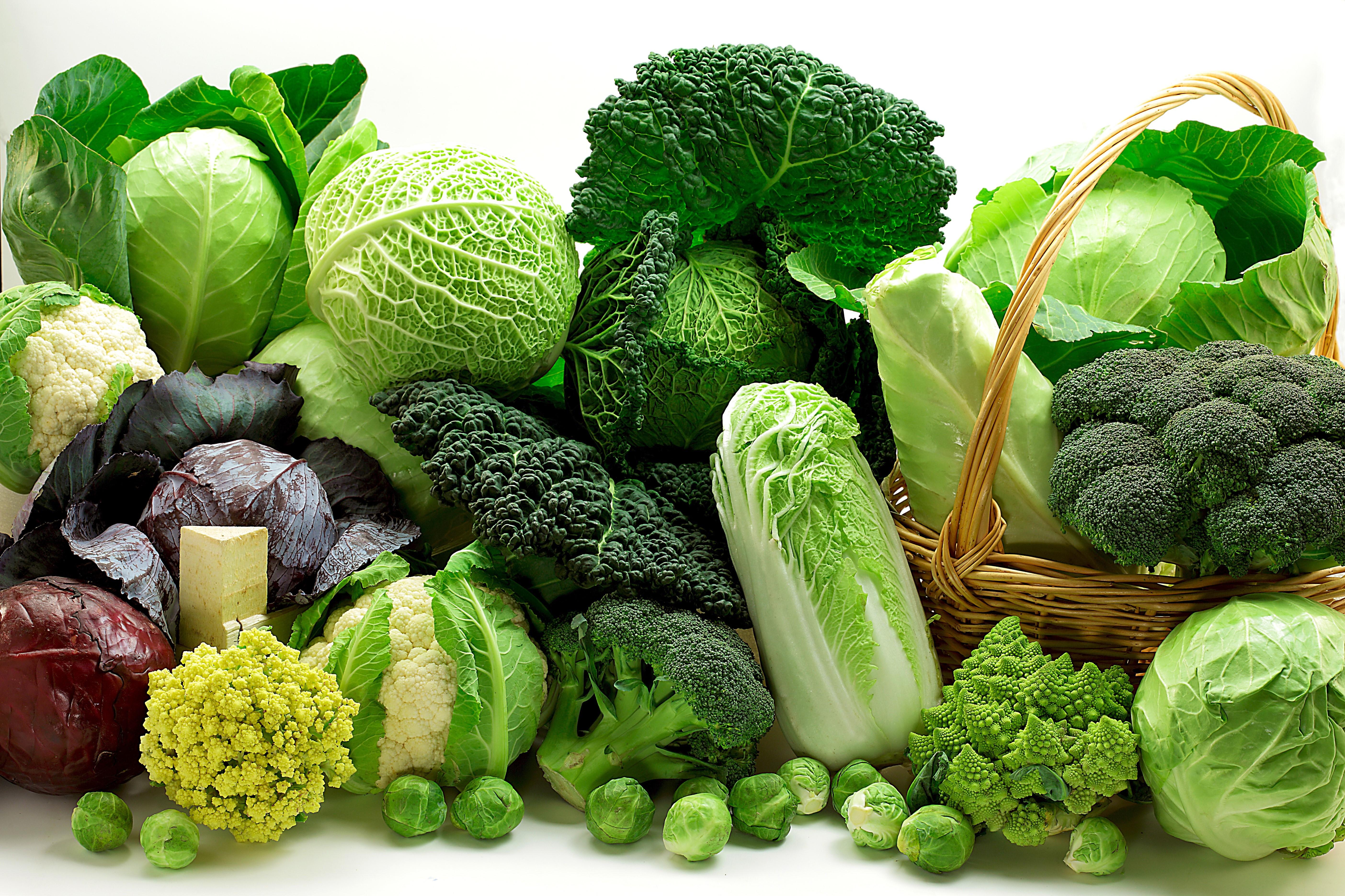 5616x3744 4K, 5K, Vegetables, Cabbage, Many Gallery HD Wallpaper