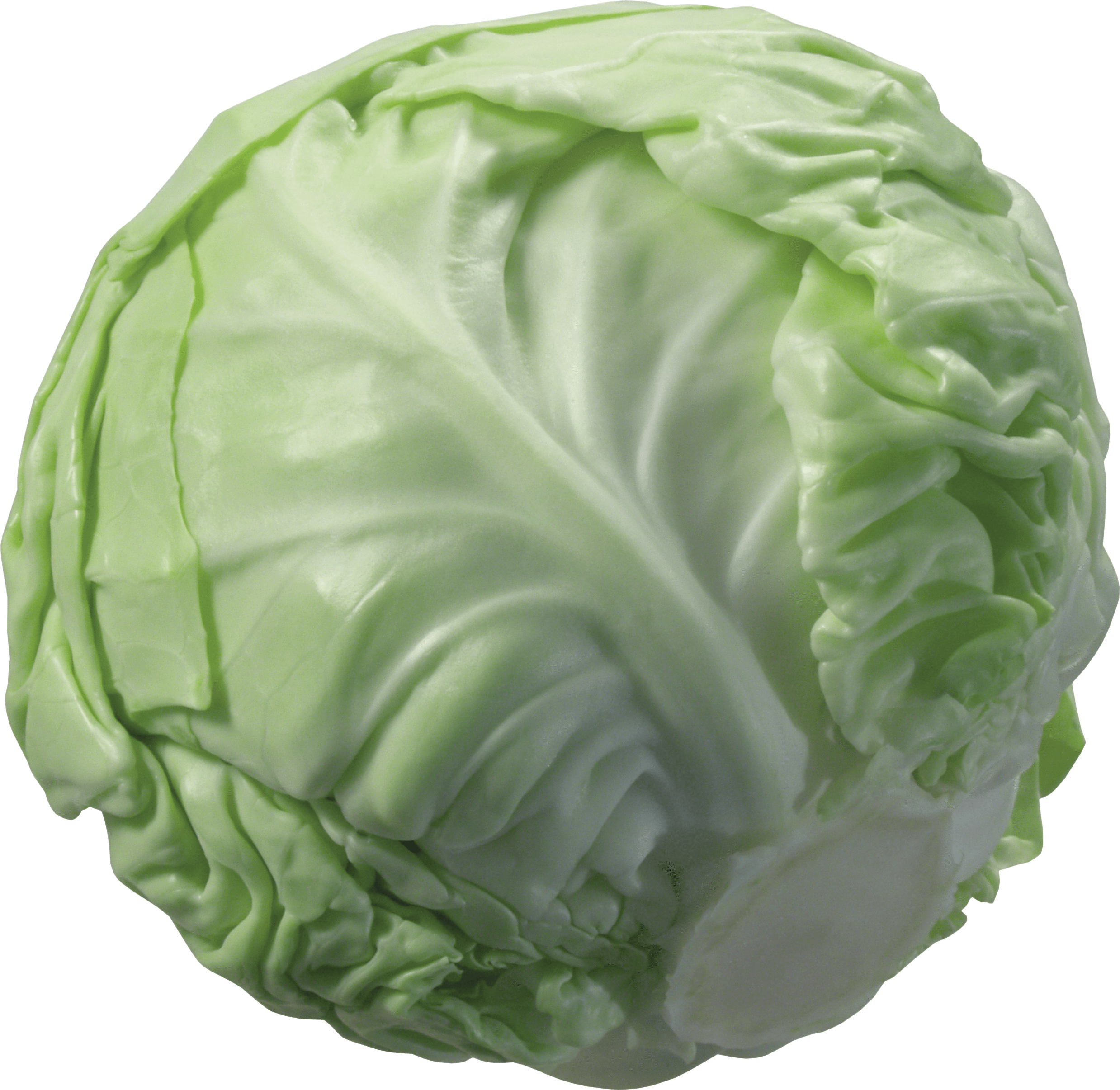2477x2411 Cabbage. Овощи, Капуста, Овощи для детей