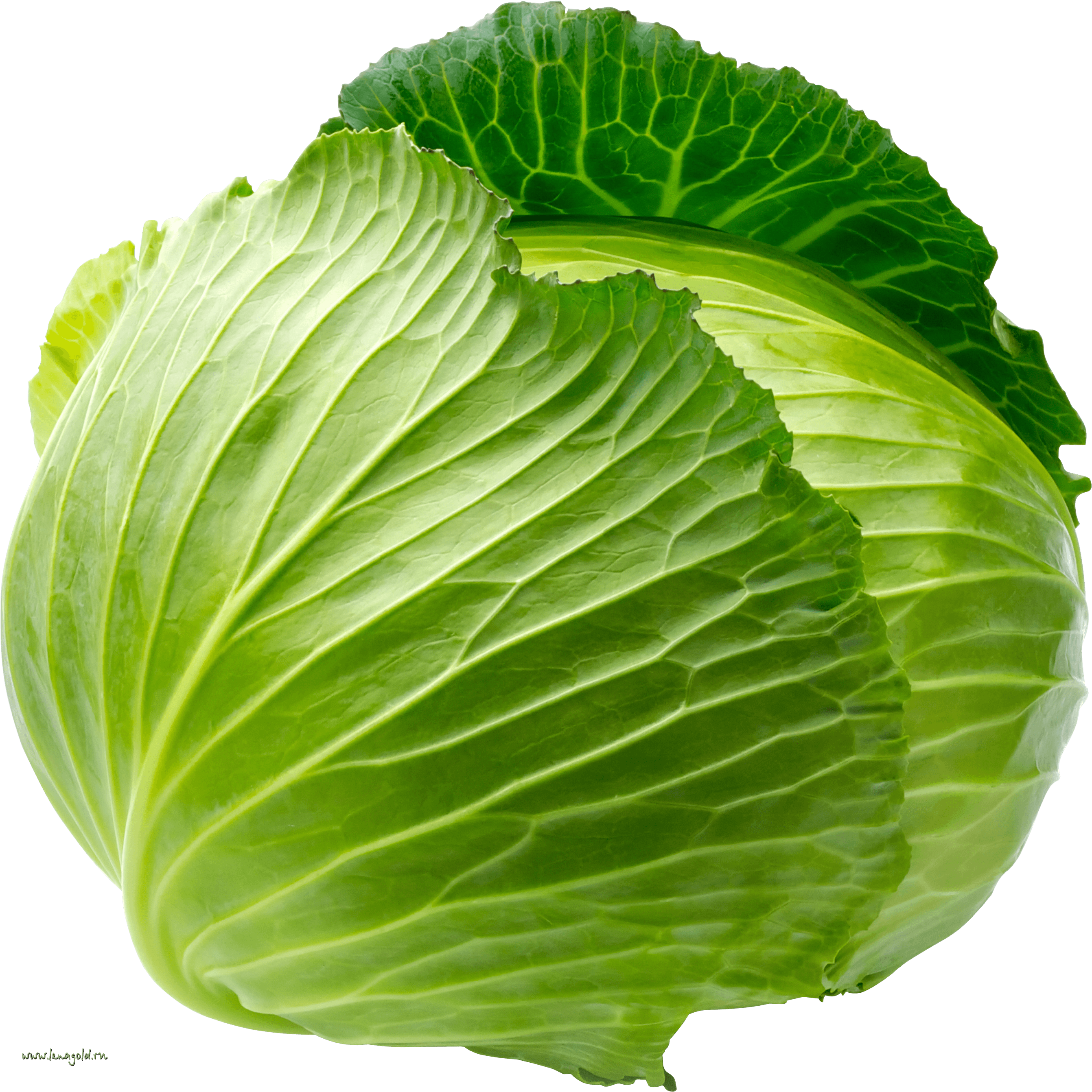 2683x2684 Download Cabbage Png Image HQ PNG Image
