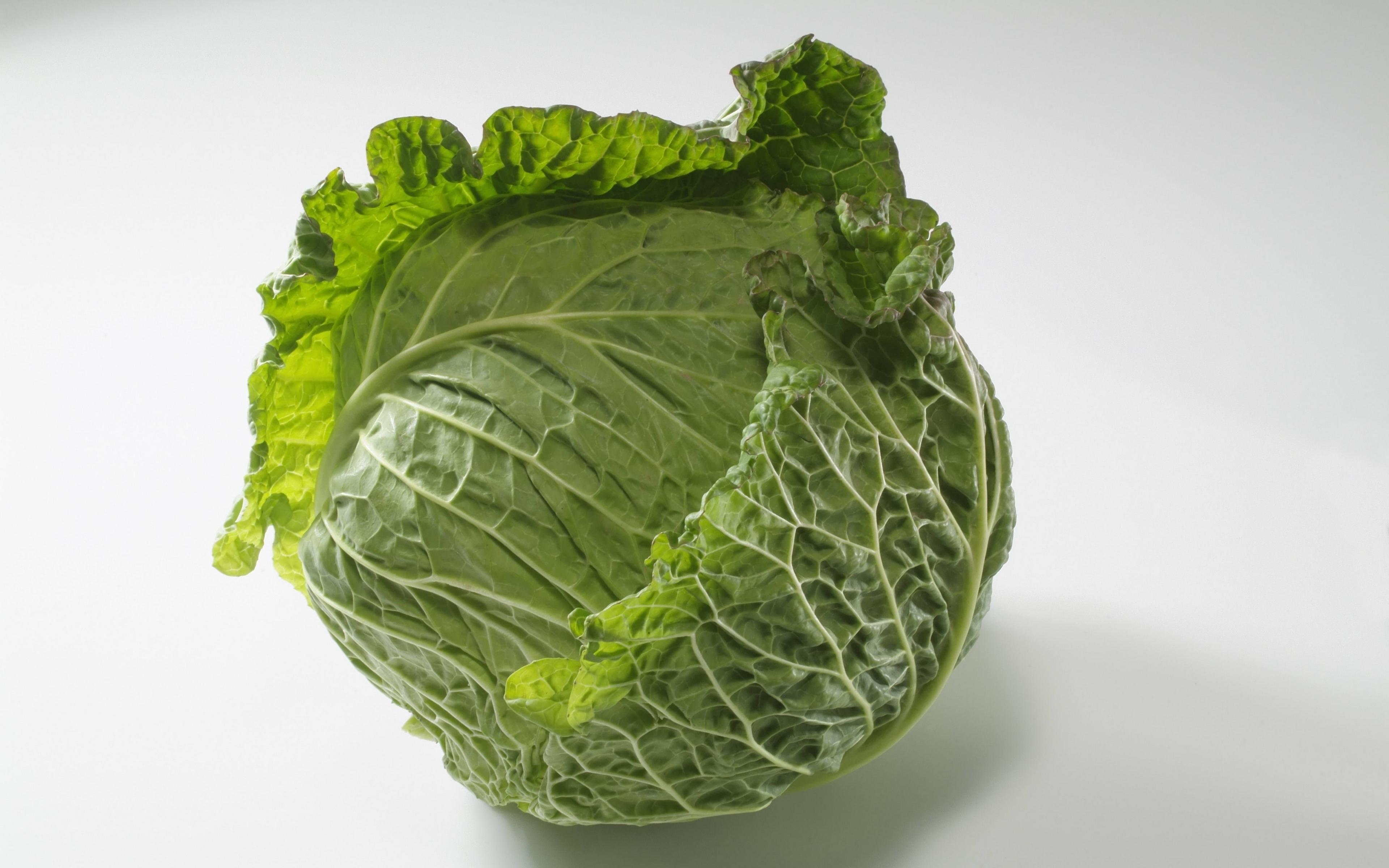 3840x2400 Green head of cabbage on a gray background Desktop wallpaper 600x382