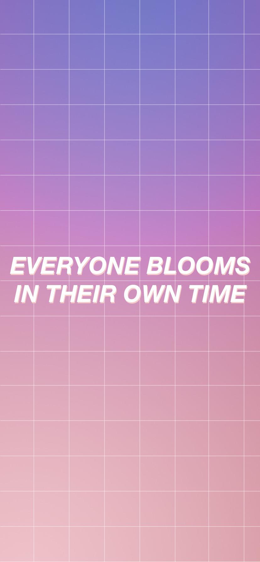 828x1792 indie iphone wallpaper
