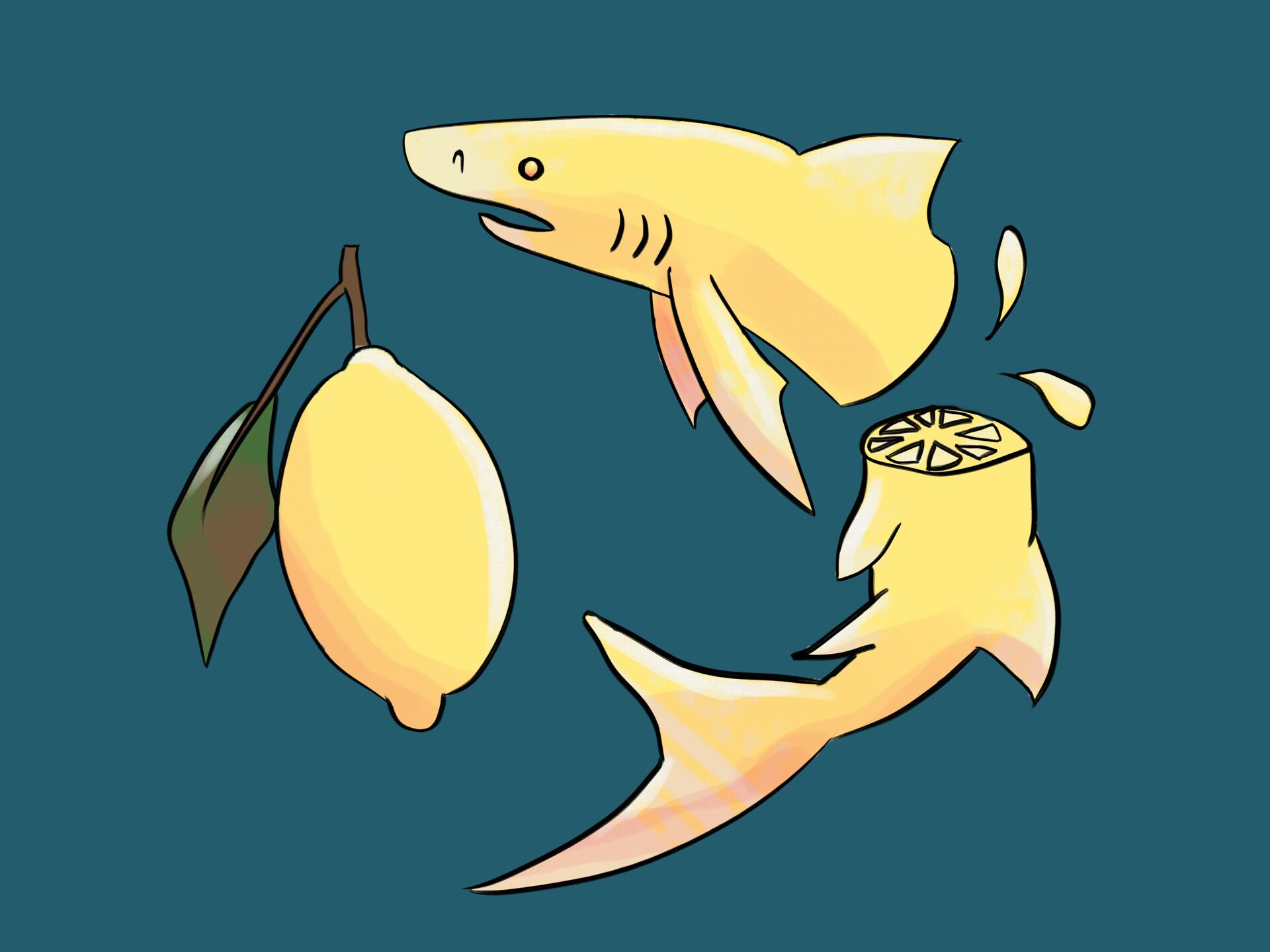 Lemon Shark Wallpapers Top Free Lemon Shark Backgrounds Wallpaperaccess
