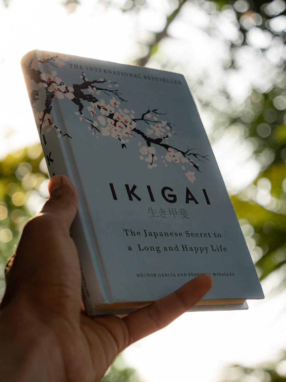 1000x1333 Ikigai Picture. Download Free Image