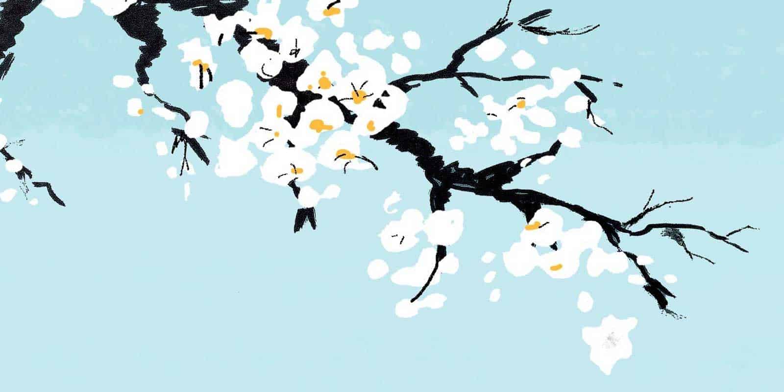 1600x800 Ikigai Book Summary: Japanese Secret to Long & Happy Life (+ Visuals)