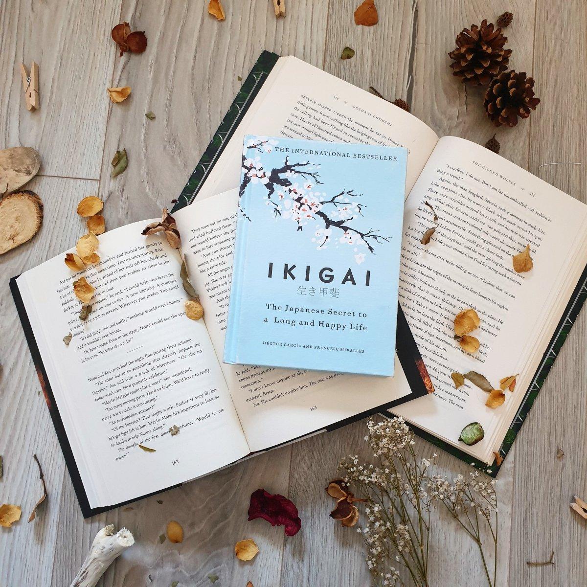 1200x1200 Review: “Ikigai” by Hector Garcia and Francesc Miralles