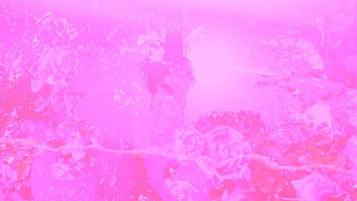 1200x675 shoegaze x pedal partners