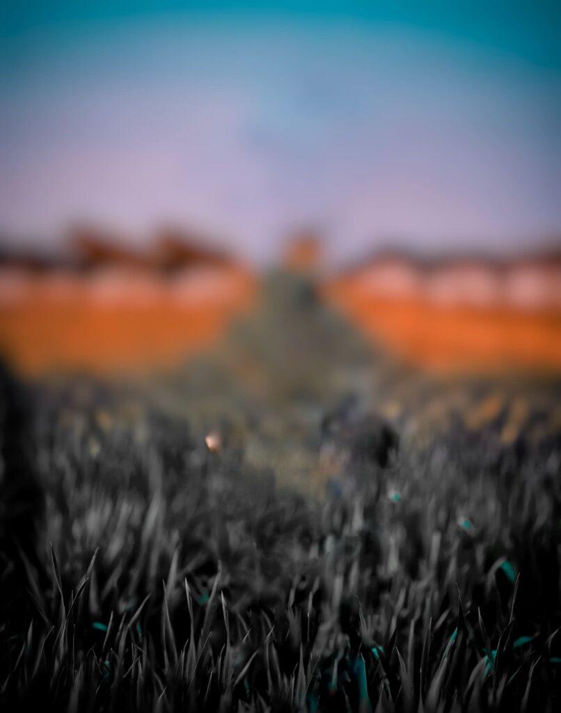 806x1024 snapseed background Download Now