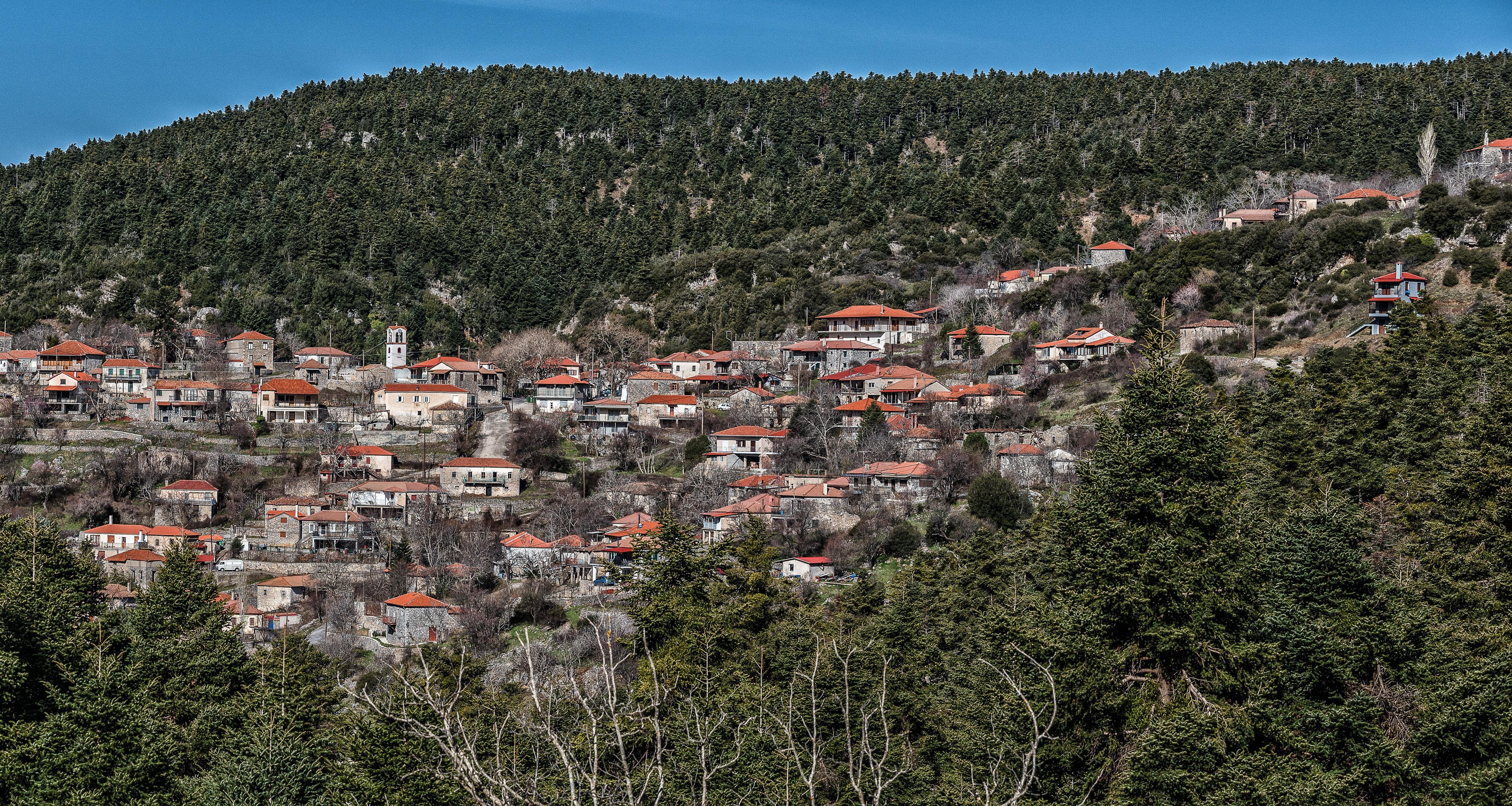 4500x2400 4K, Roino Tripoli, Greece, Houses, Forests, Hill Gallery HD Wallpaper