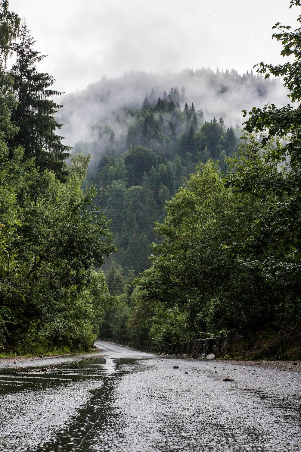 1000x1500 Rainy Day Picture [HQ]. Download Free Image