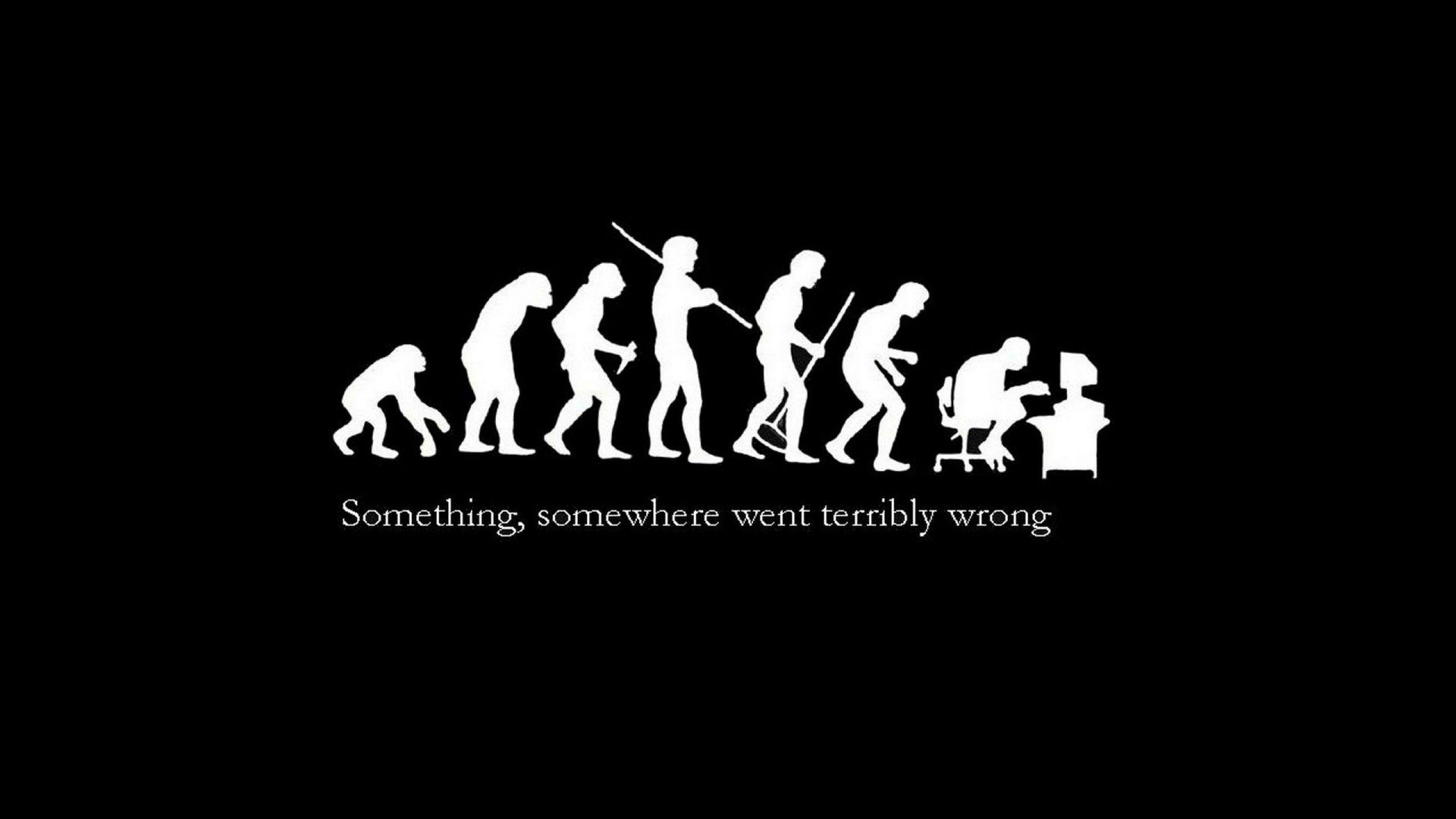 2560x1440 Funny Desktop Wallpaper