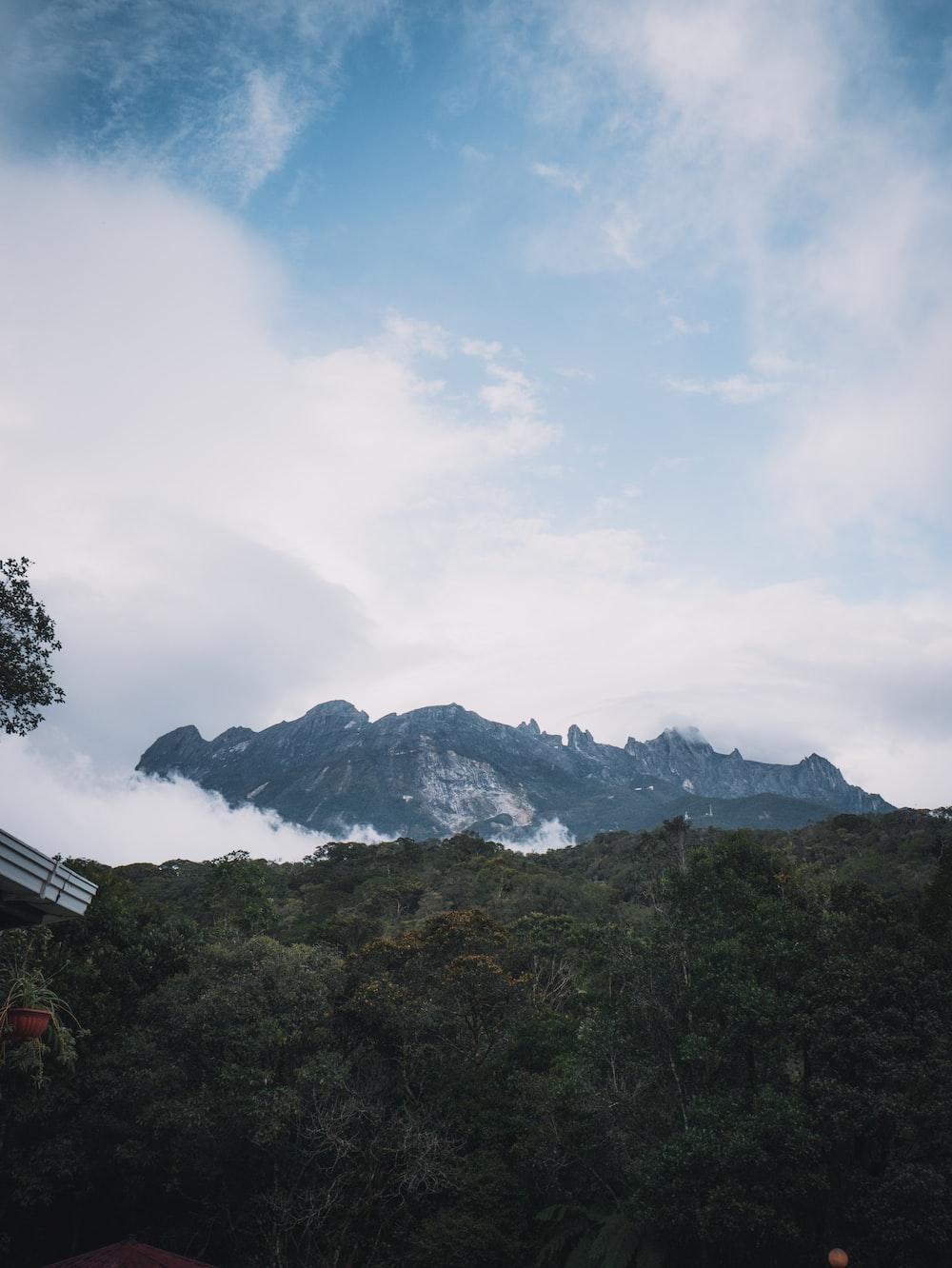 1000x1332 Mount Kinabalu Picture. Download Free Image