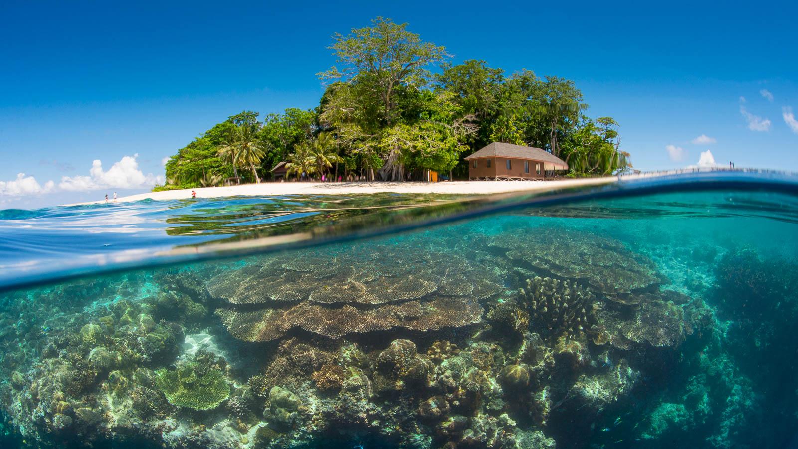 1600x900 Scuba diving in Sipadan, Sabah, Malaysia