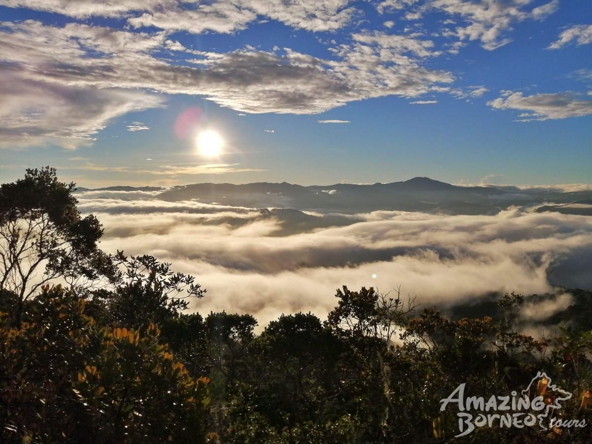 1200x900 Best Hiking Trails for Jungle Trekking in Sabah: Our Top Eight Picks. Travelogue Borneo Tours