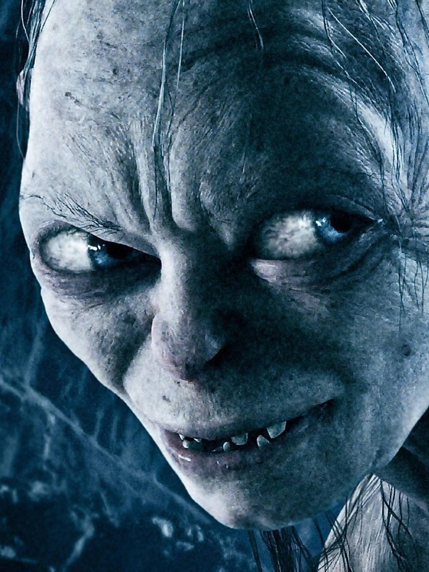 1439x1920 Download LOTR Gollum My Precious Still Wallpaper