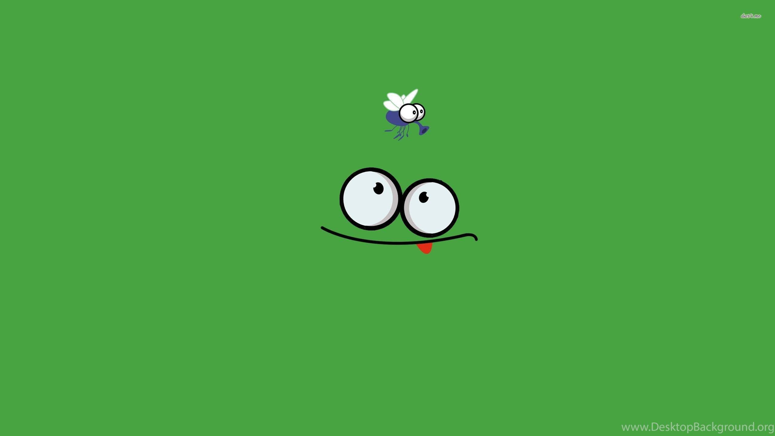 2560x1440 Funny Face And A Fly Wallpaper Funny Wallpaper Desktop Background
