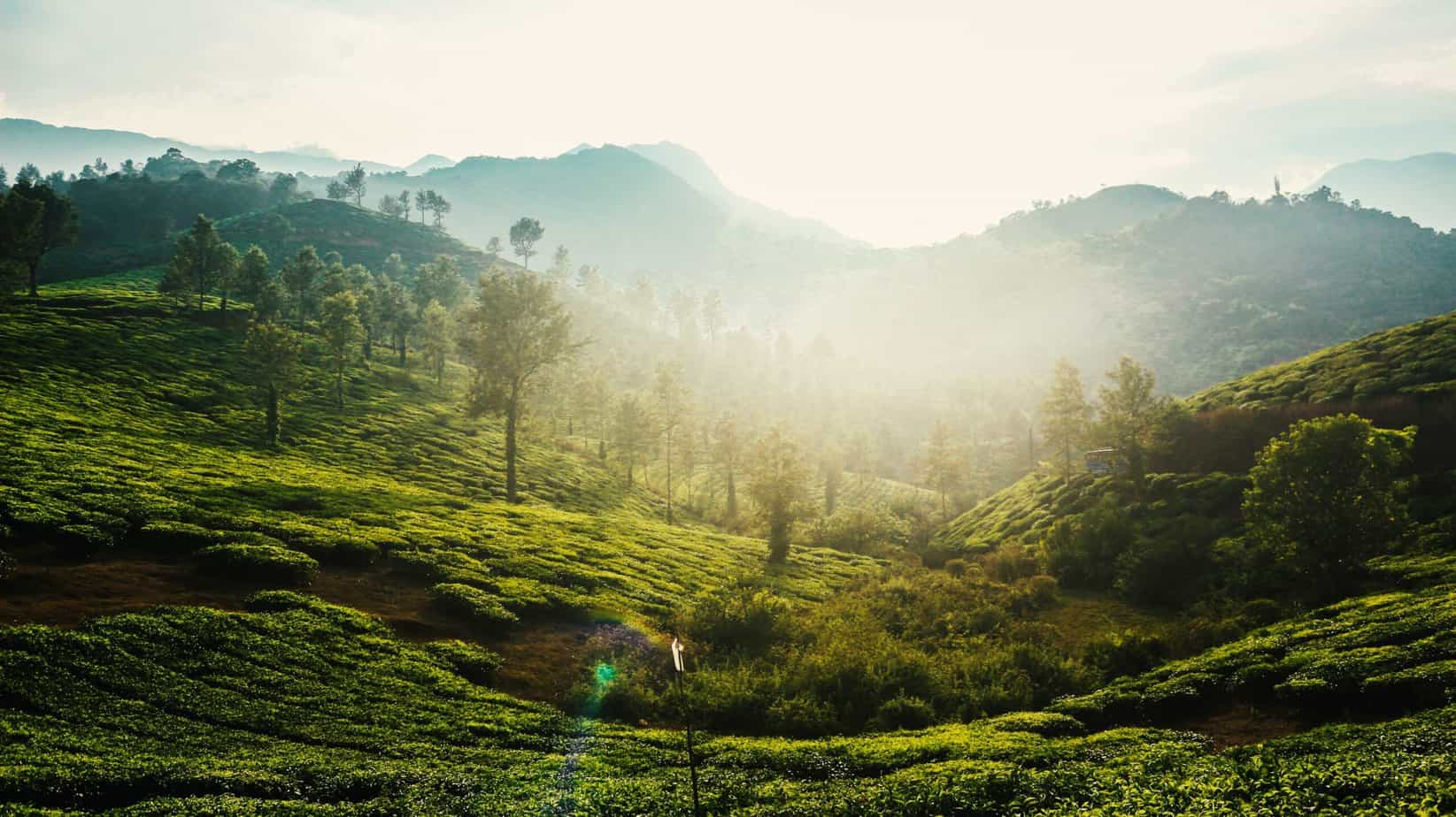 Wayanad Wallpapers - Top Free Wayanad Backgrounds - WallpaperAccess