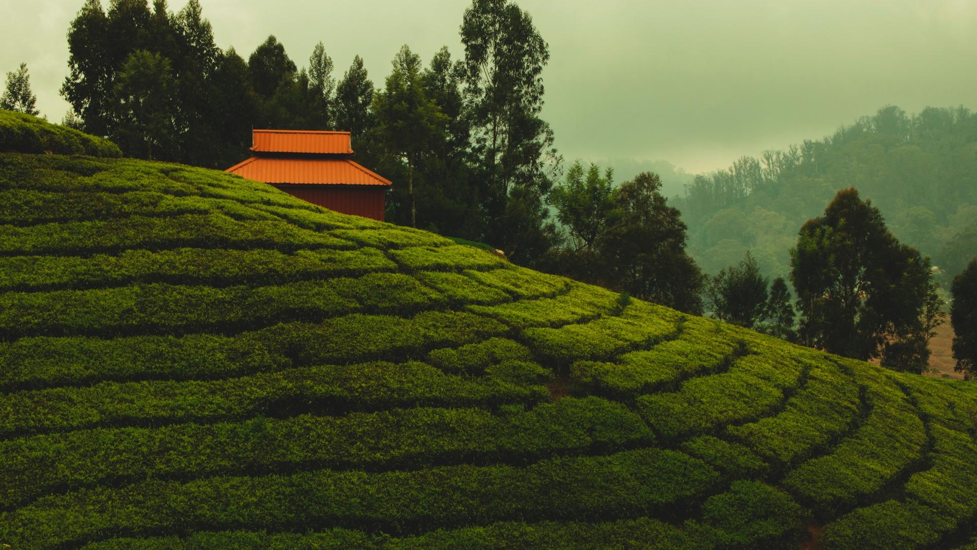 Wayanad Wallpapers - Top Free Wayanad Backgrounds - WallpaperAccess