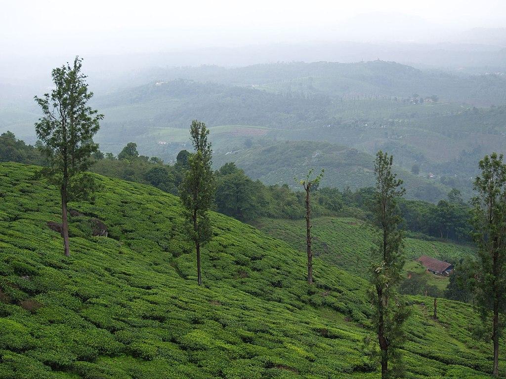 1024x768 Meppadi