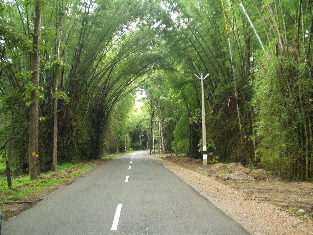 1024x768 Tourist attractions in Wayanad