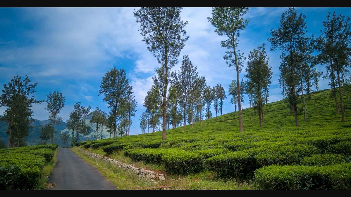 1200x675 Exploring Wayanad, The Haven Of History, Heritage And Eco Tourism Spots