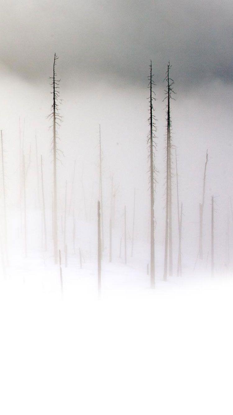 White iPhone Wallpapers Top Free White iPhone Backgrounds WallpaperAccess