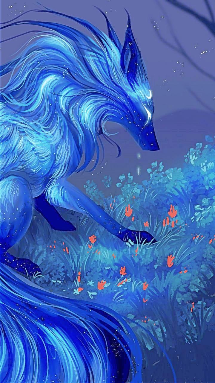 720x1280 The Best Fox Wallpaper for Your Phone