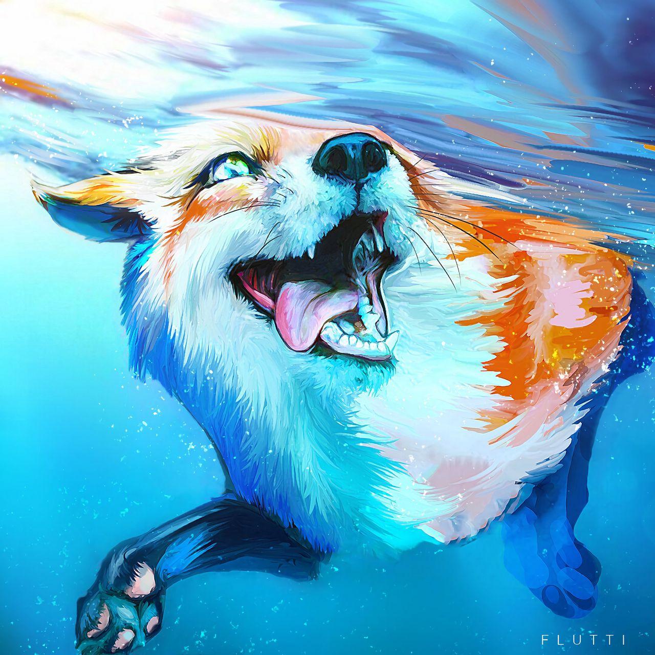 1280x1280 Download wallpaper 1280x1280 fox, tongue protruding, water, under water, swim, art ipad, ipad ipad mini for parallax HD background