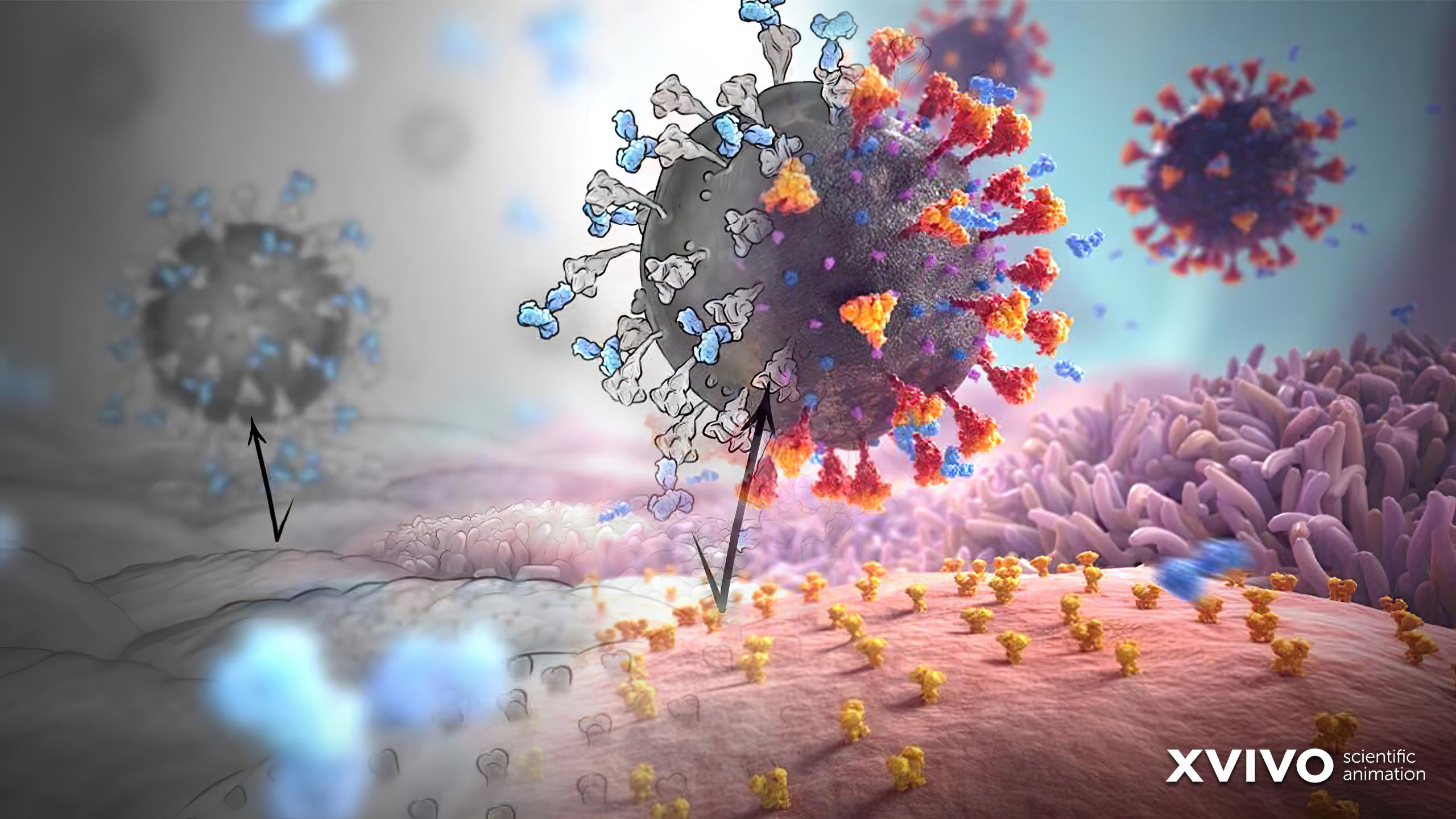 Viral Wallpapers - Top Free Viral Backgrounds - WallpaperAccess