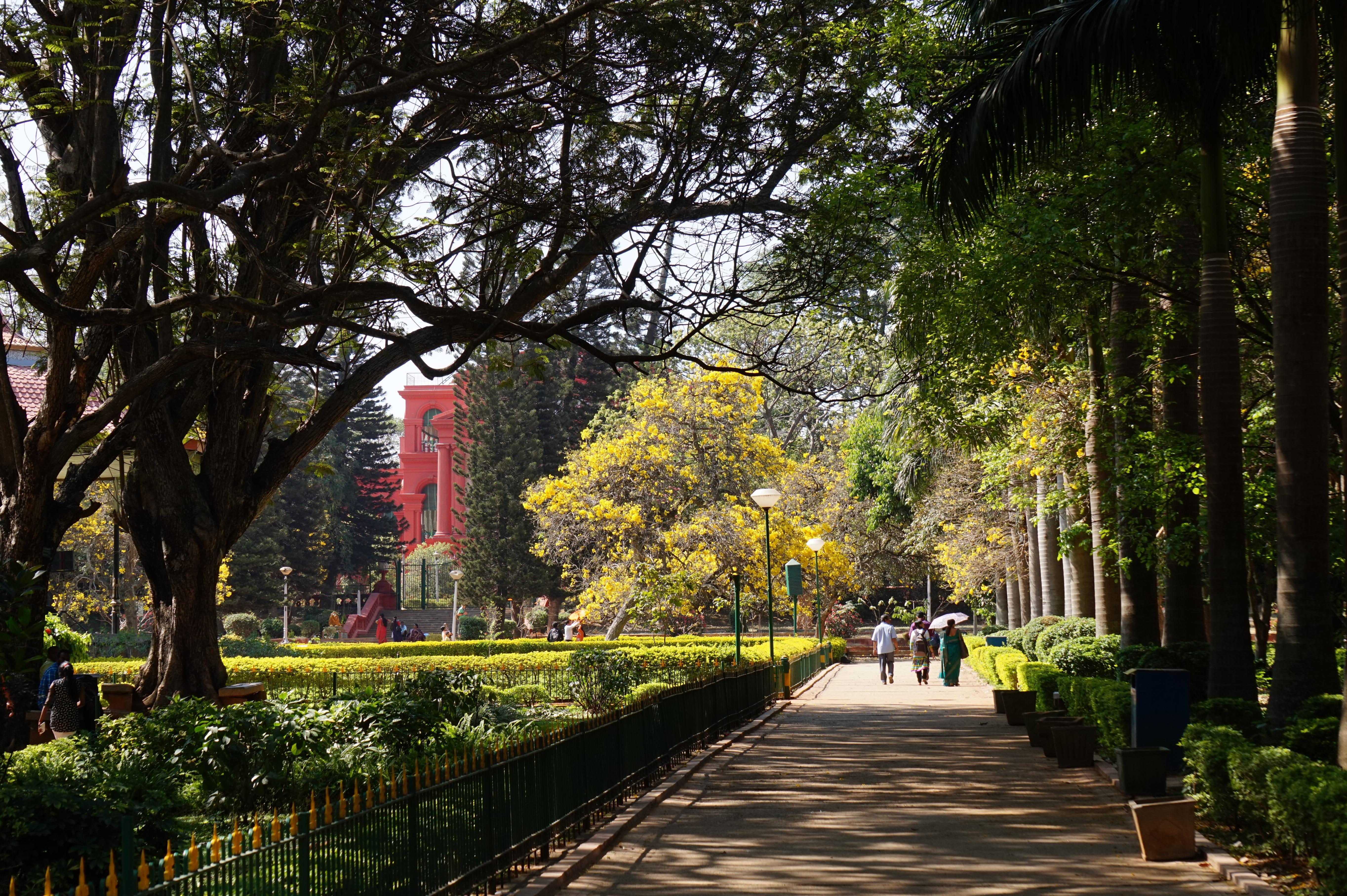 5456x3632 Wallpaper / nature, india, architecture, building exterior, bengaluru, garden, the way forward, direction, incidental people, trunk, indians, outdoors, treelined, trees free download
