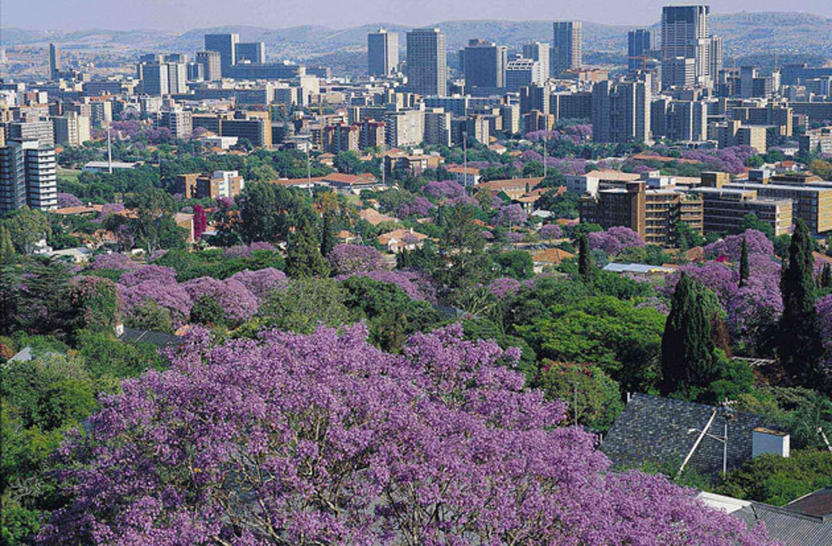 Pretoria Wallpapers Top Free Pretoria Backgrounds WallpaperAccess