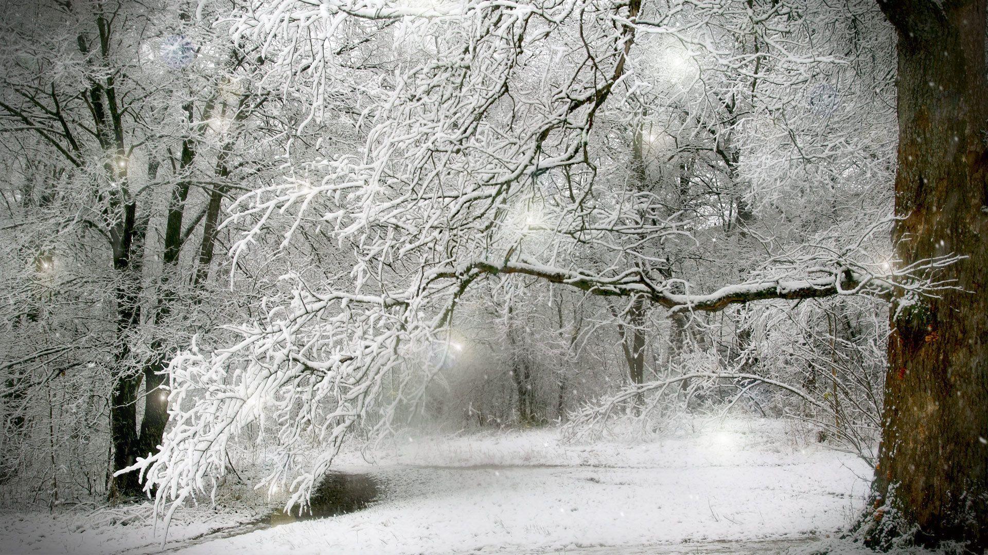 1920x1080 I love snow. Sciforums. Home. Winter snow, Snow