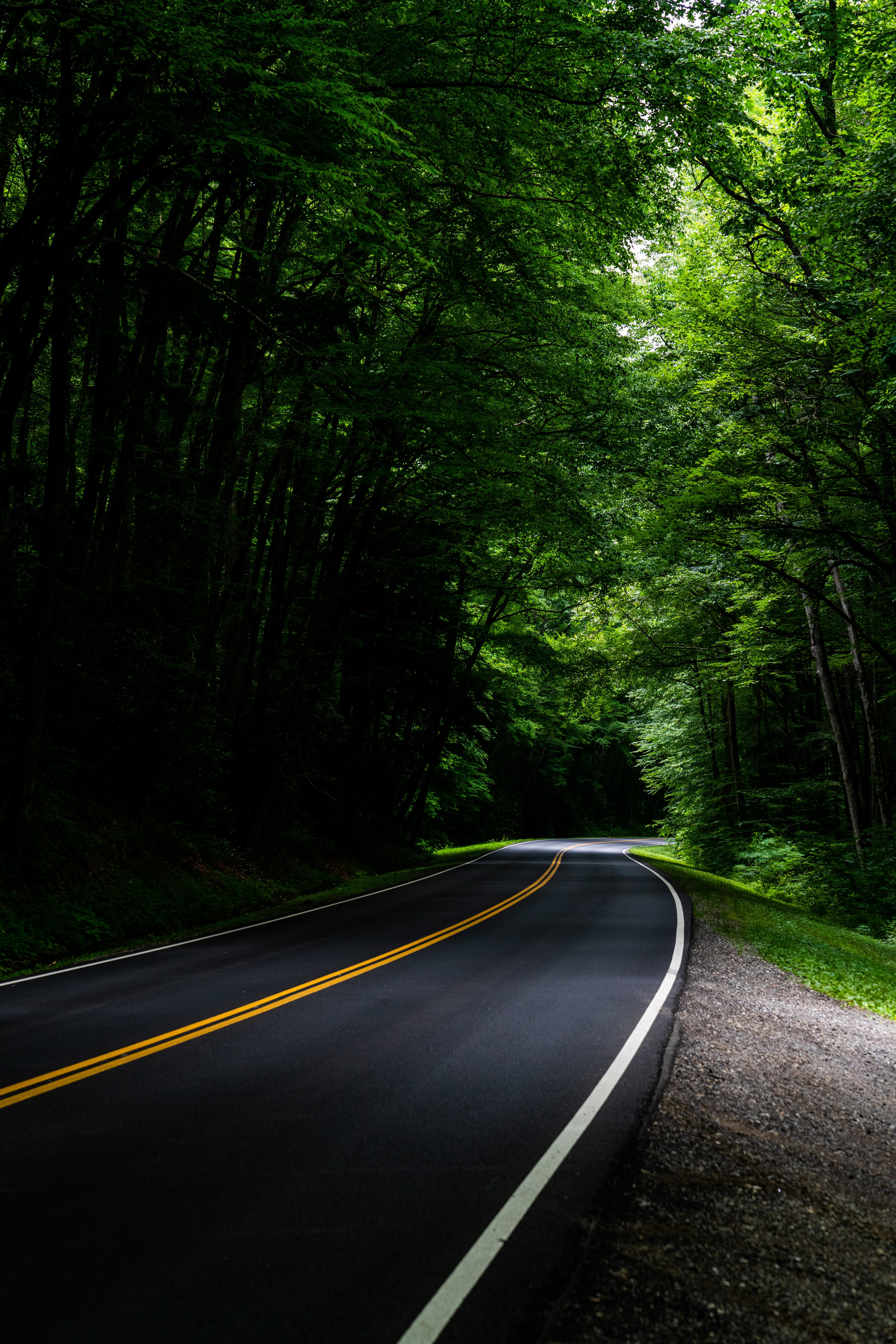 5304x7952 Download Road wallpaper for mobile