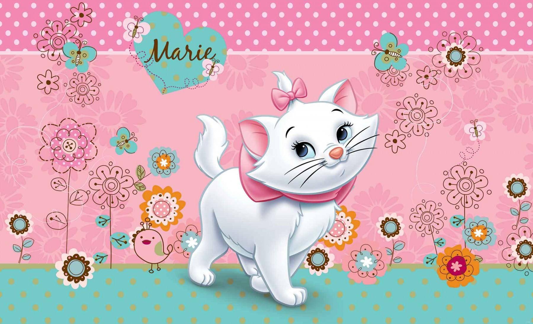 1800x1096 Marie Cat Wallpaper