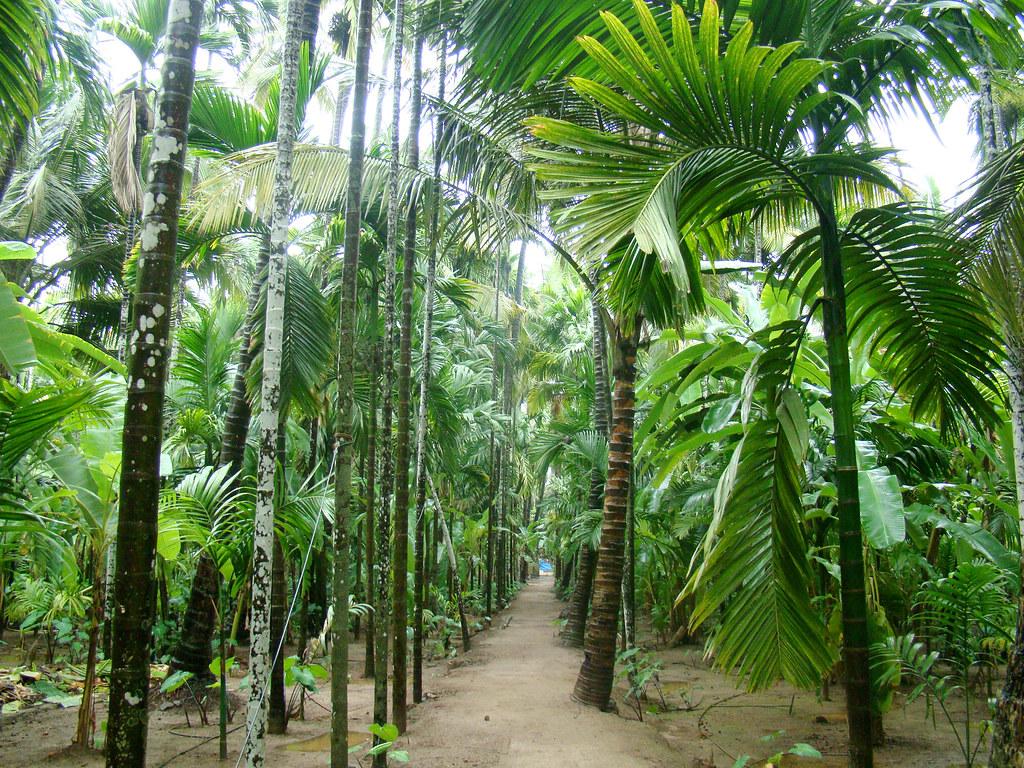 1024x768 Konkan Wallpaper