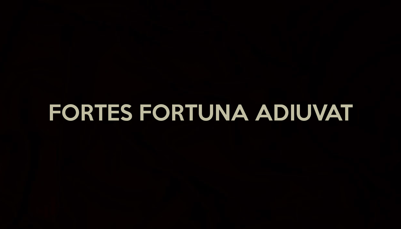 1400x800 Fortis Fortuna Adiuvat Wallpaper