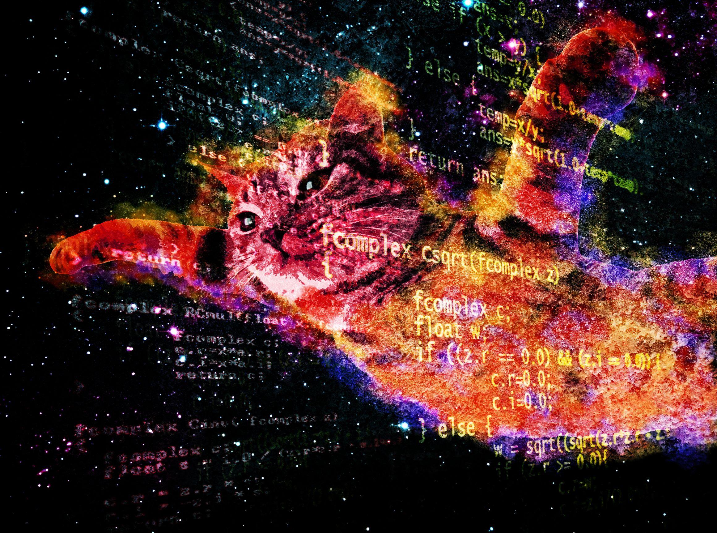 2320x1724 Free download Tumblr Cats In Space Wallpaper Space cat with flying