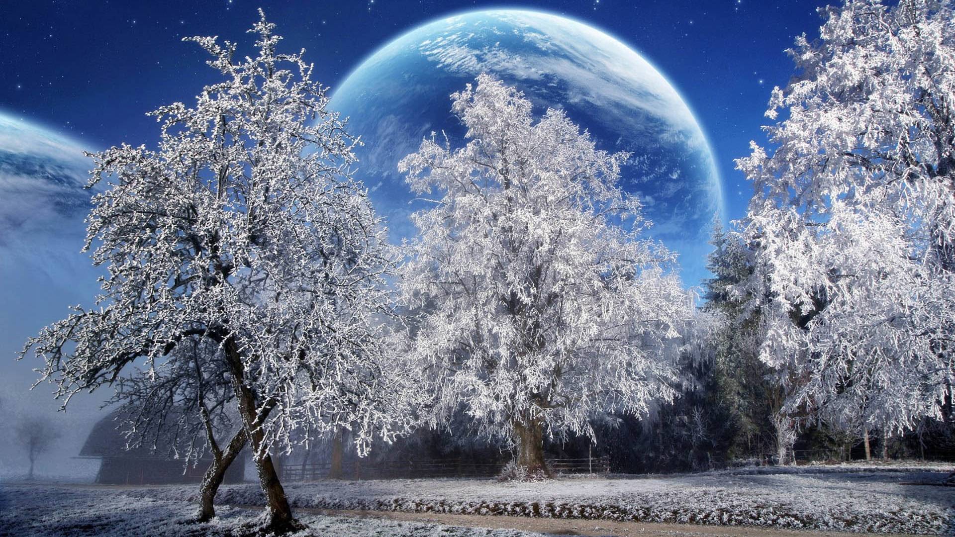 Beautiful Free Winter Wallpaper and Winter Desktop Backgrounds