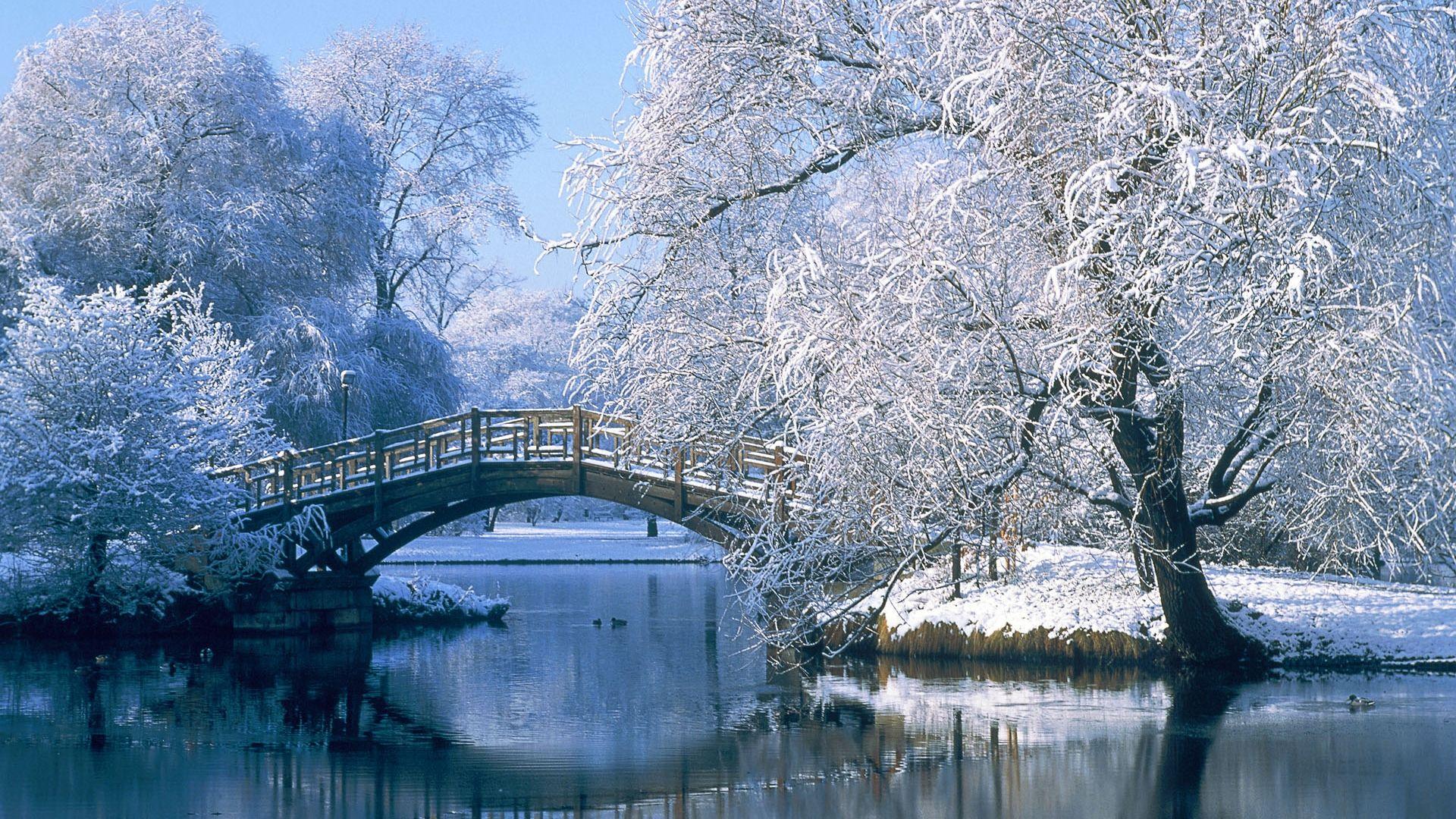 1920x1080 Winter Wallpaper