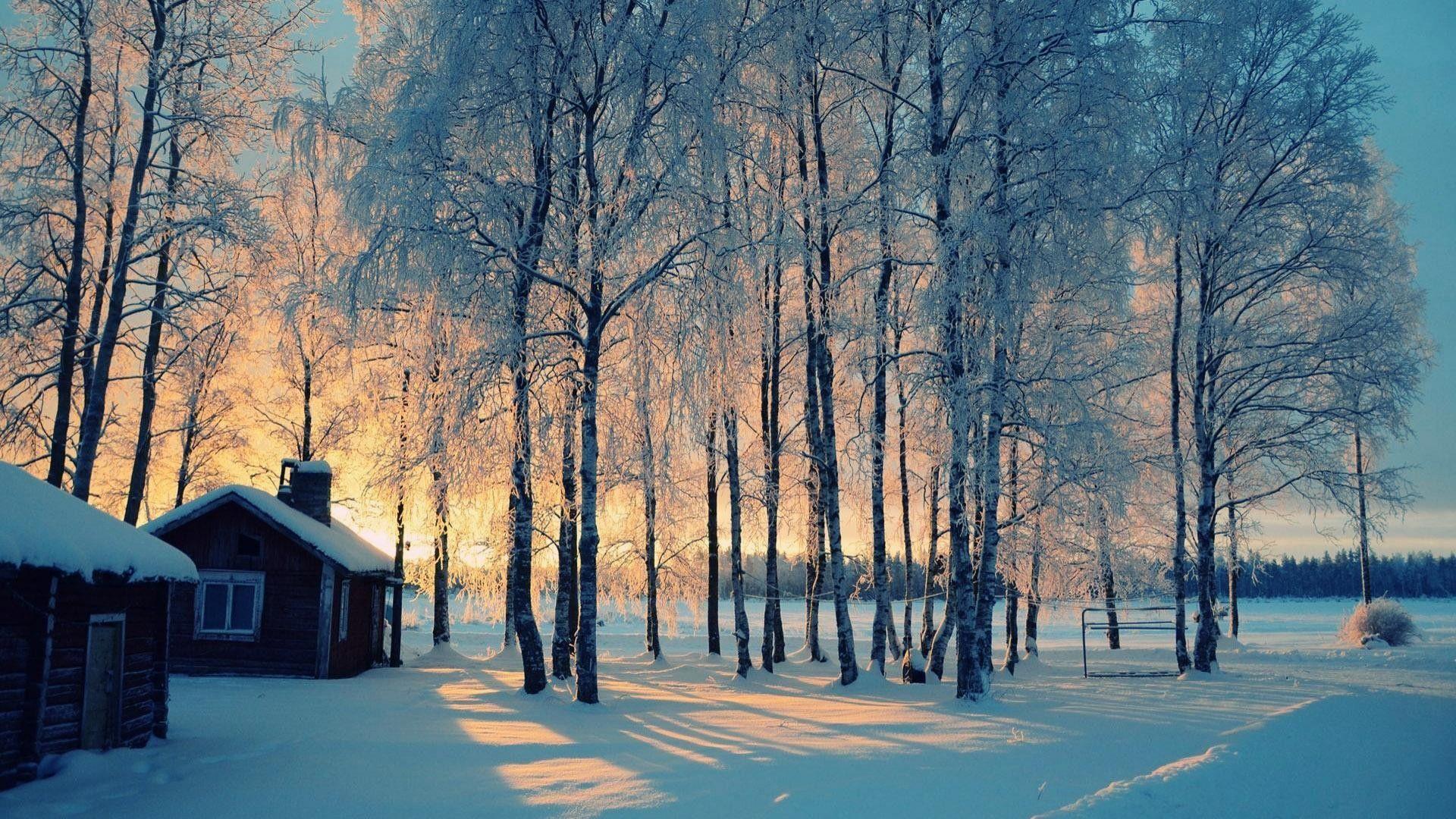 1920x1080 Winter Wallpaper