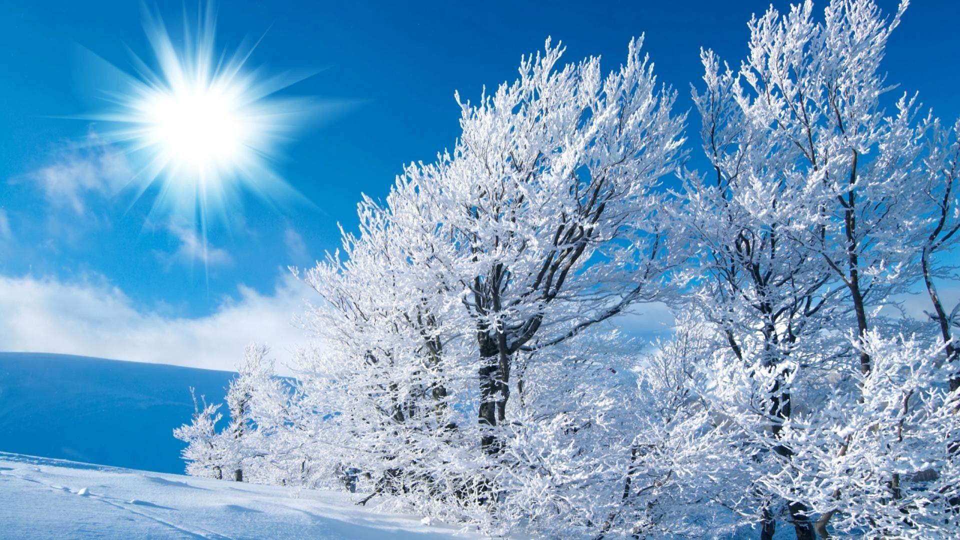 1920x1080 Beautiful Winter Background