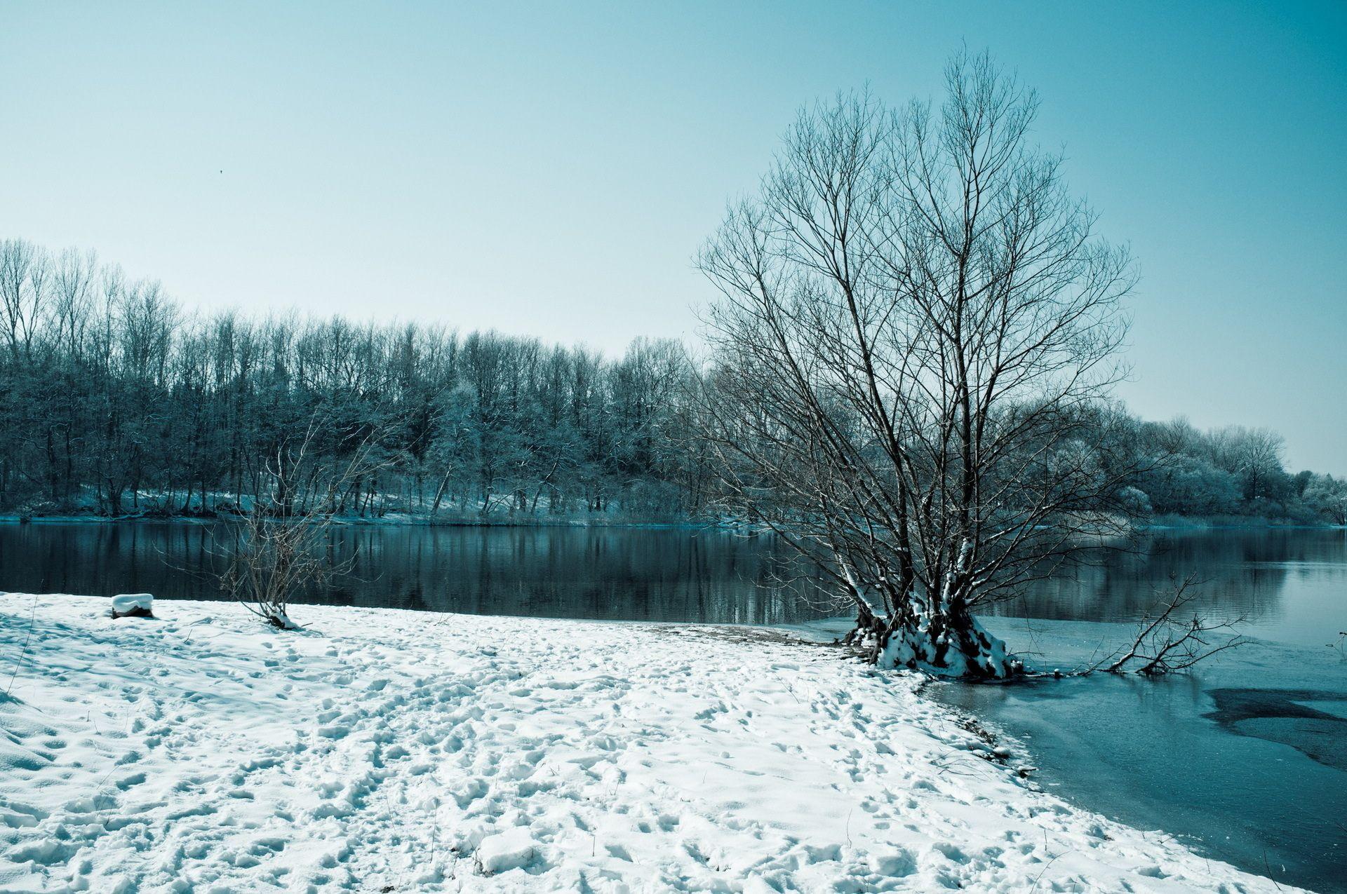 1920x1275 snow, high definition, mac wallpaper, fresh, trees, lake, hd wallpaper