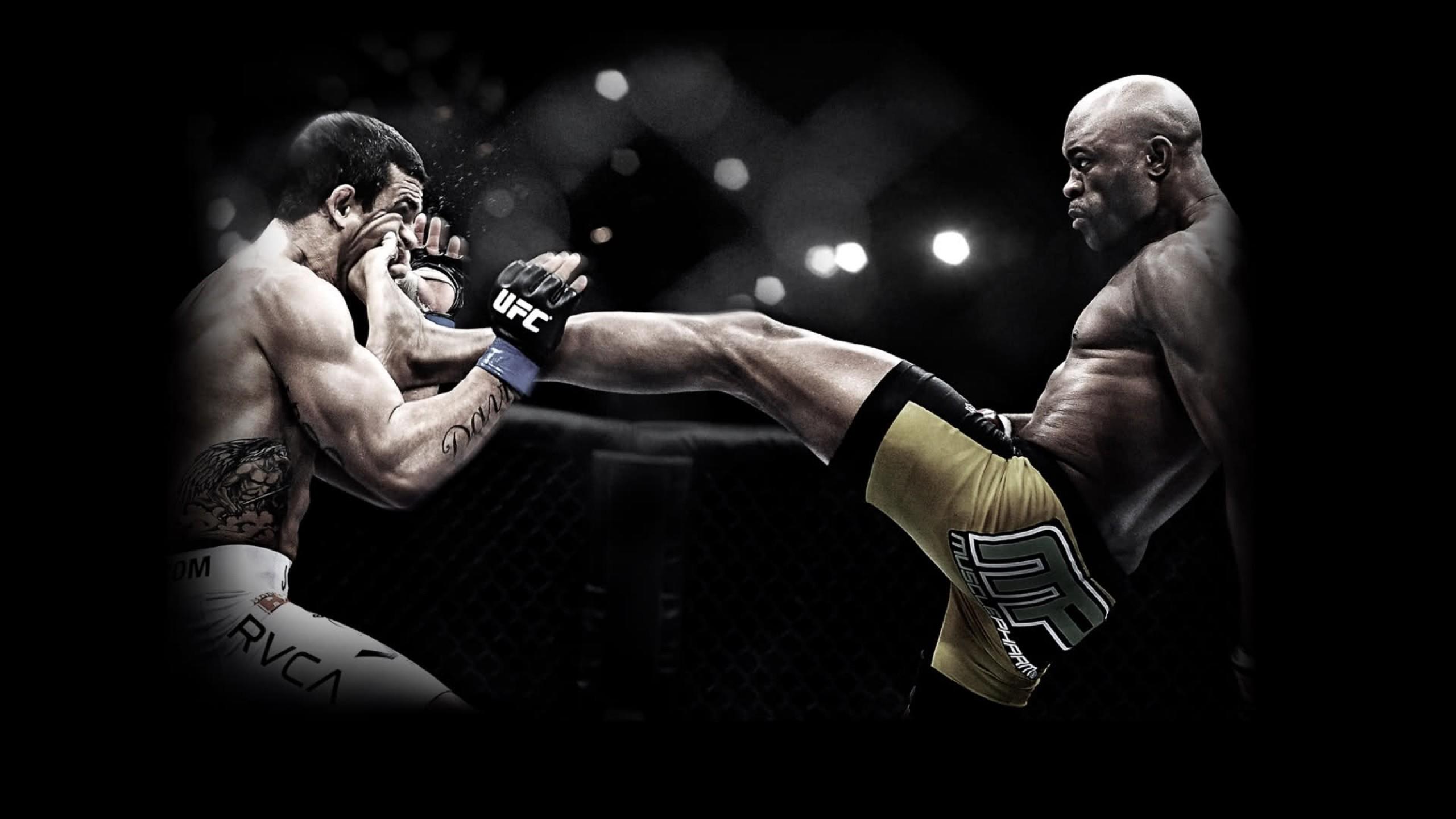 2560x1440 Bjj Wallpaper Desktop