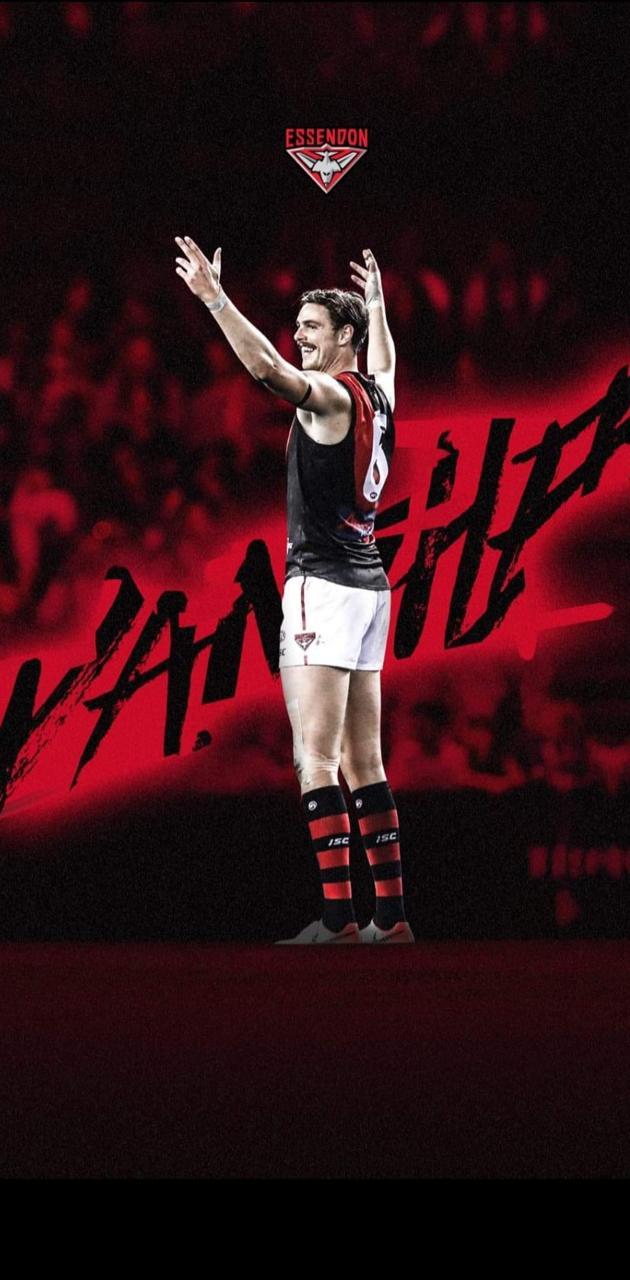 630x1280 Joe Daniher wallpaper