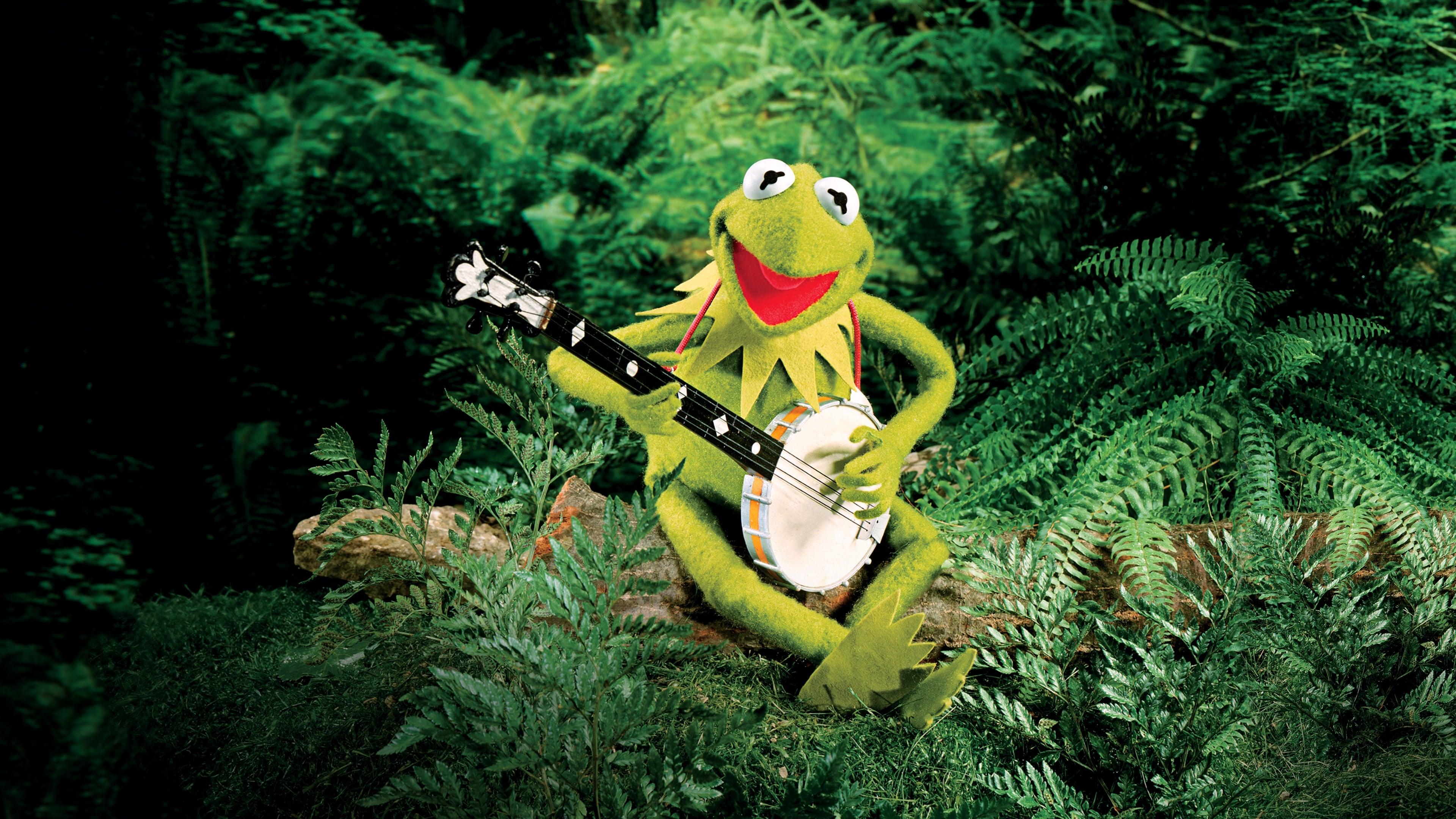 3840x2160 Kermit the Frog HD Wallpaper and Background